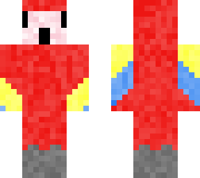 macaw parrot