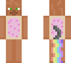nyan villeger