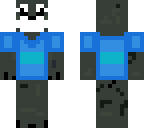 schnauzer with cyan jacket