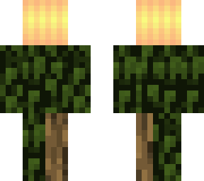 test 2