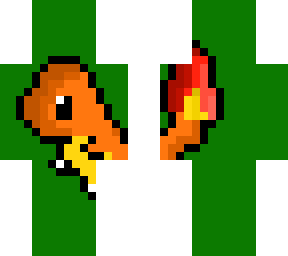 the charmander   (awww)