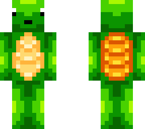 turtle