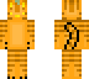 pumpkin cat