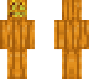 a pumpkin