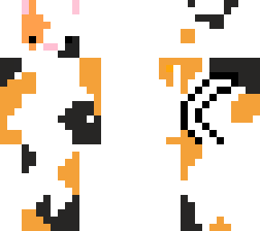 kitty cat