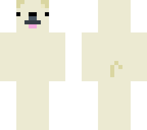 puppy