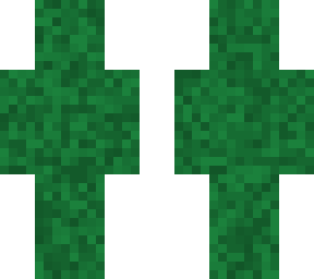 bushcamo