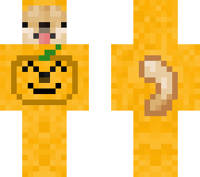 halloween doge in pumpkin costume