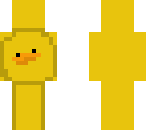 dream duck