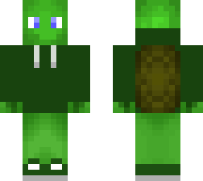 cool turtle
