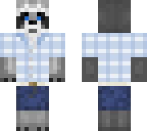 raccoon dude
