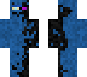 ender ninja