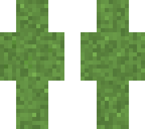 grass