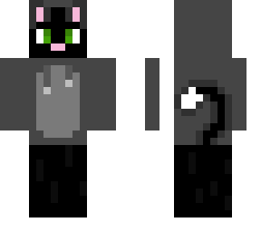 my personal skin or ( a cat in a hoodie )