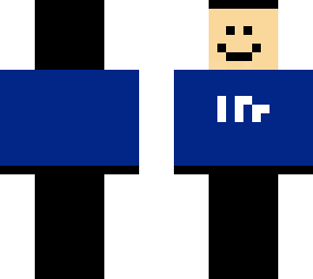quackity mcc11 skin