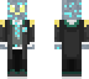 a skin