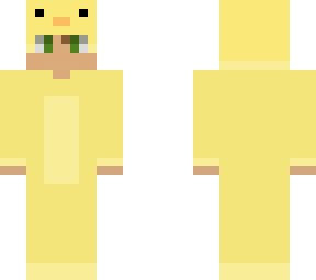 boy in duck costume