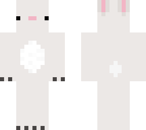 bunny