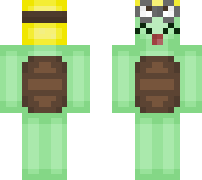 kitty's turtle minion backwarsds
