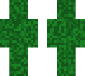 camoflauge man