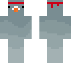 pigeon