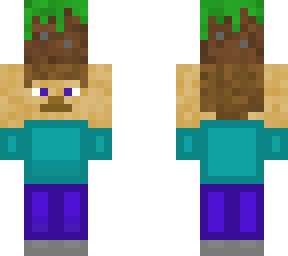 steve carrying grass block