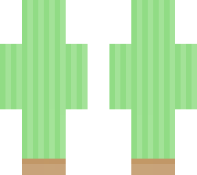 cactus dude