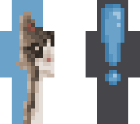announcement skin <3