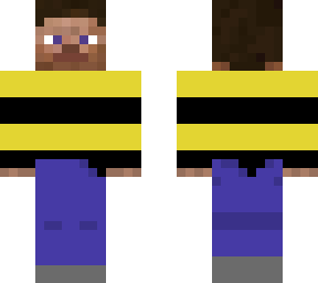bee sweater steve