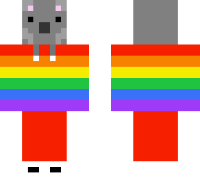 koala with rainbow hoodie