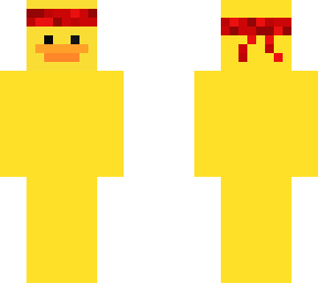 ninja duck skin