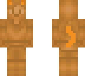 the orange cat