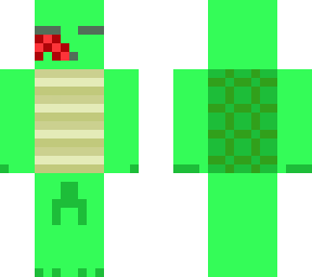 dead turtle