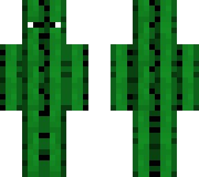 mr.cactus