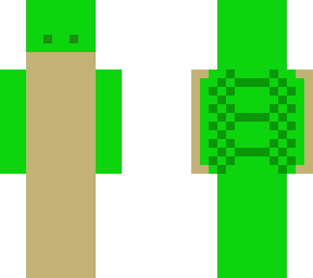 shelly the turtle