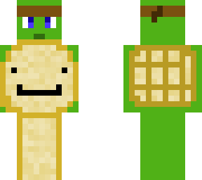 turtle with dream concept