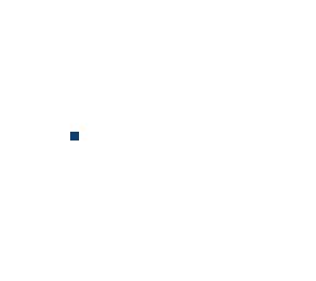 blank