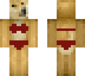 doge in a bikini