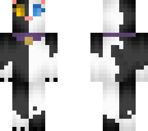 gato de 2 colores
