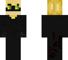 cat noir