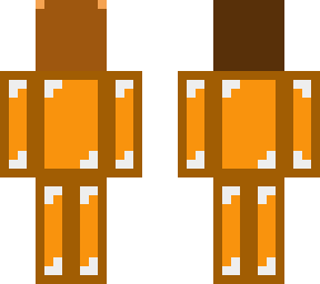 copper bear v3