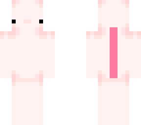 axolotl