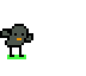 birb