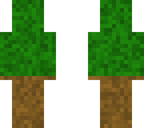 dirt guy