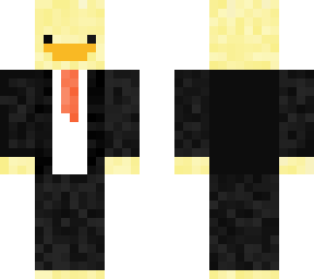 fancy ducks