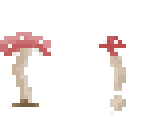 qanda & (new annoucment skin idk)