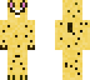 cheetah