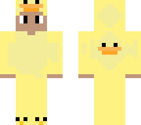 ducks everywhere