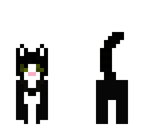 my cat