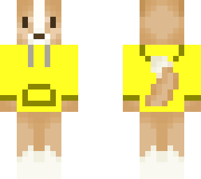corgi with yellow sweater